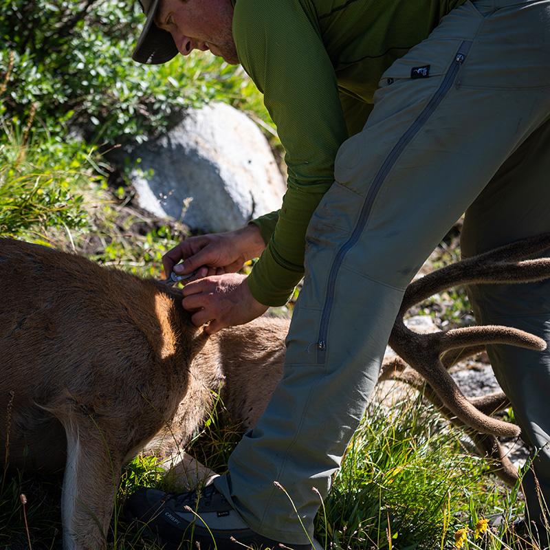 De Havilland LITE Pant - Image 9