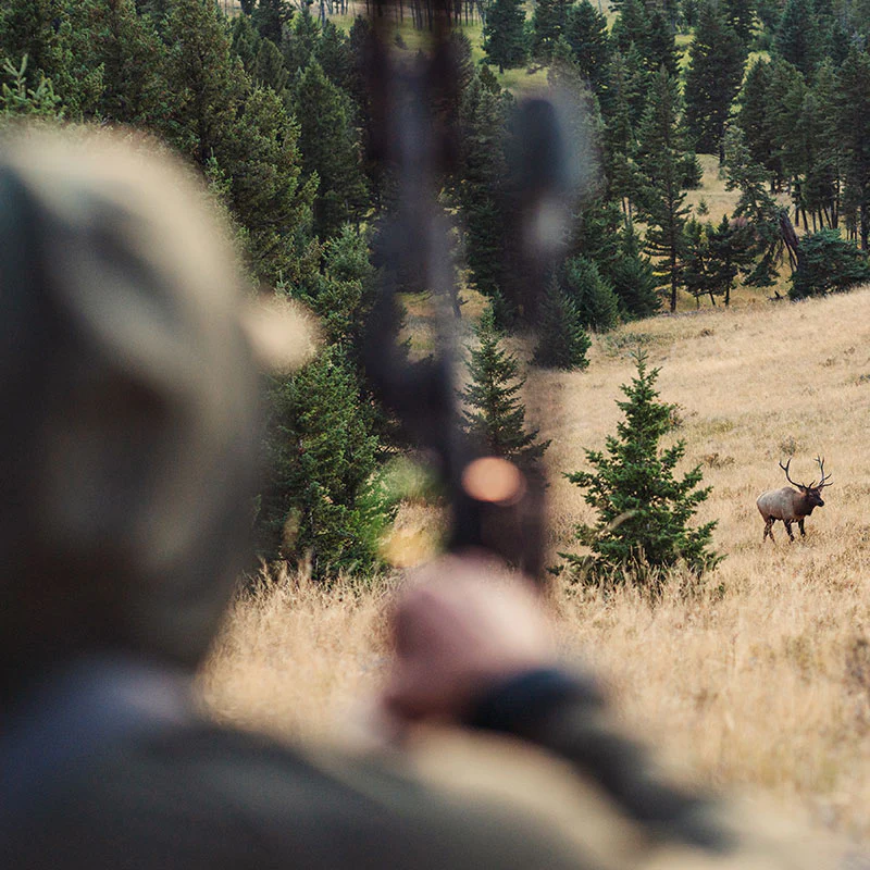 Halo Sun Hoody - Image 3