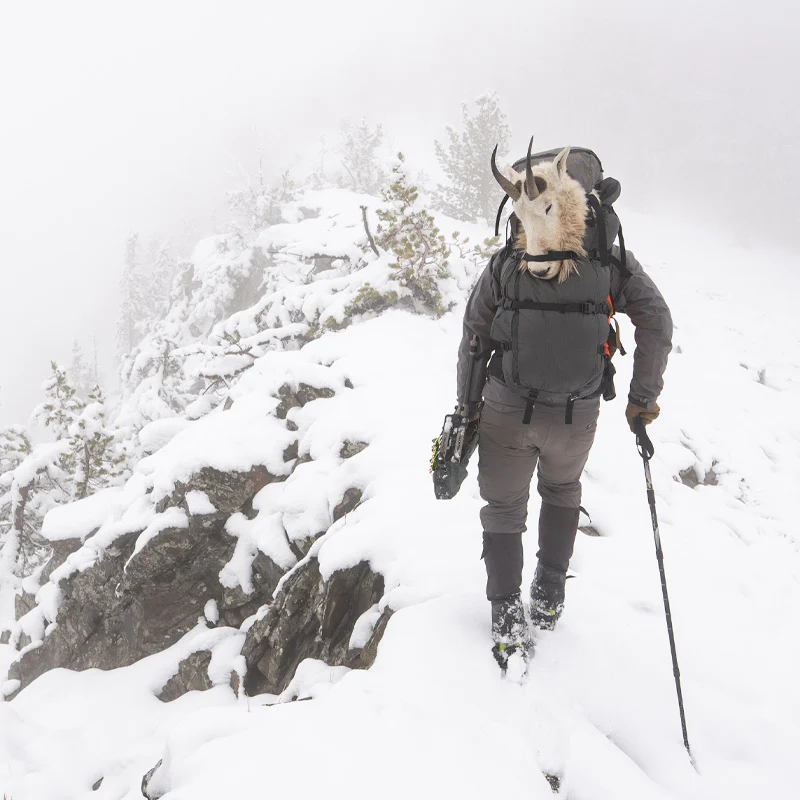 Terminus 7000 - Image 18