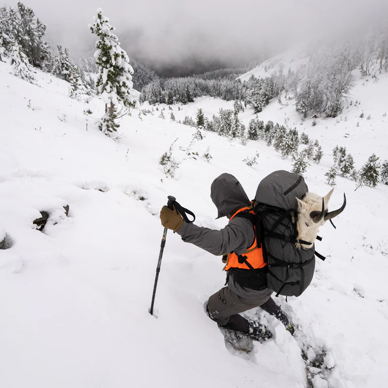 Terminus 7000 - Image 19