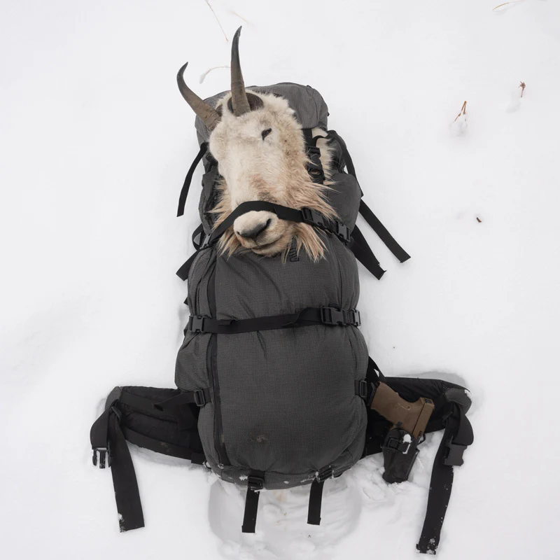 Terminus 7000 - Image 37